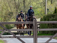 AK310322-1 - Alan King Stable Visit